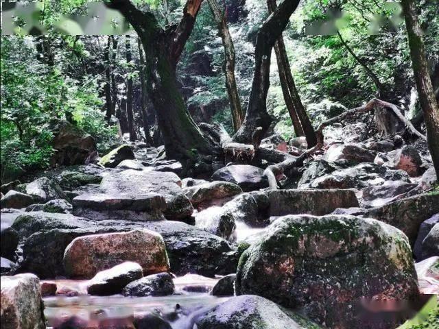 探索知识星球珠海哪里好玩的景点推荐,共享知识的乐园!